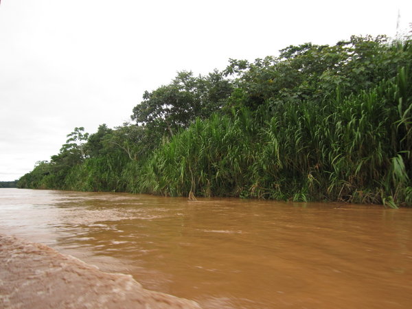 Tambopata river