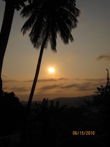 Palm tree and Congo sunsets
