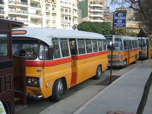 The famous buses!