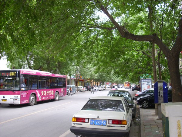 Tree lined streets in Zhengzhou