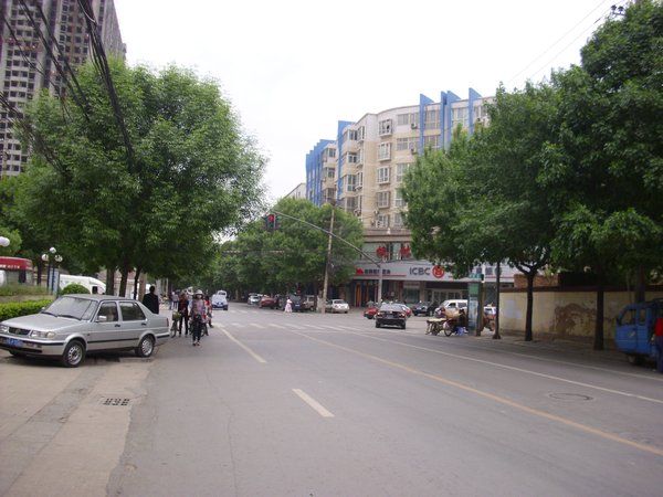 Tree lined streets in Zhengzhou (1)
