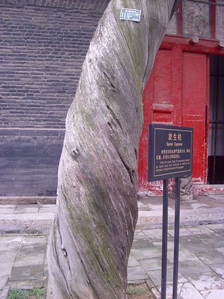 Guanlin Temple Luoyang (19)