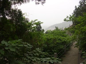 longmen grotto (101)
