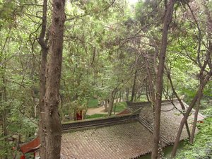 Xiangshan temple and gardens (21)