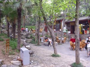 Xiangshan temple and gardens (24)