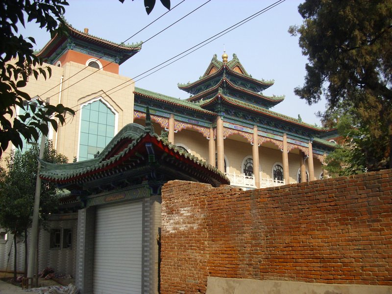 City centre, demonstration, mosque, zhengzhou 16-10-10 (31)