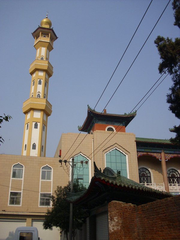 City centre, demonstration, mosque, zhengzhou 16-10-10 (32)