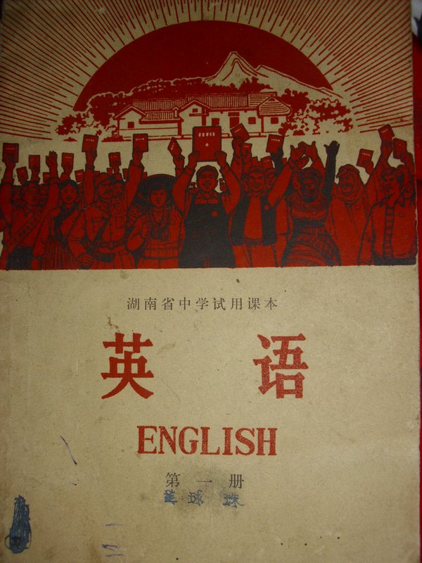 cultural revolution english book