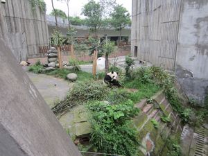 Day out to Panda centre (95)