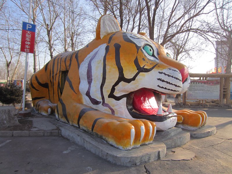 Siberian Tiger Park (1)
