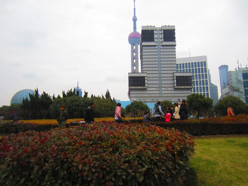 Pudong area (15)