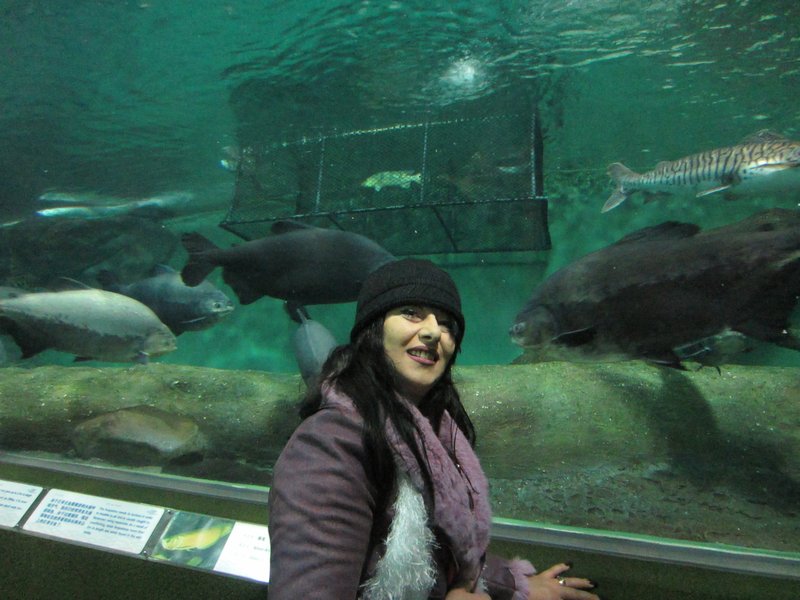 Shanghai Aquarium (18)