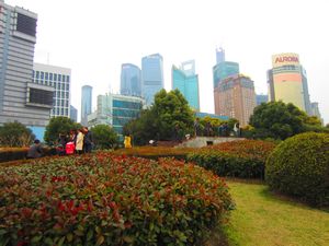Pudong area (14)