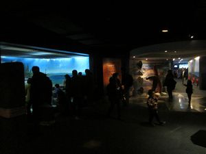 Shanghai Aquarium (39)