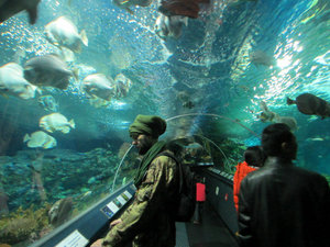 Shanghai Aquarium (94)