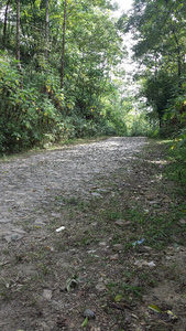 Roadway to Niujiaozhai