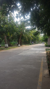 Hianan University (5)