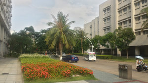 Hianan University (10)