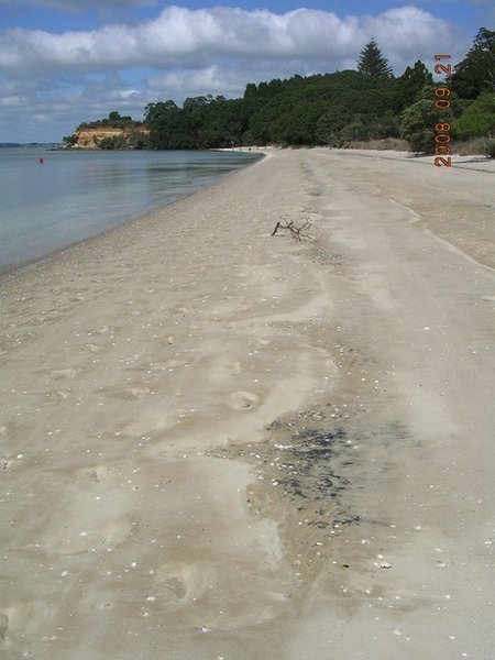Awhitu Beach