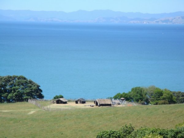 Maori by the Sea