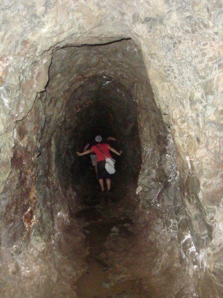 Gloworm Cave