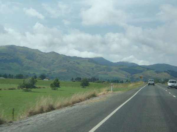 Kiwi Motorway