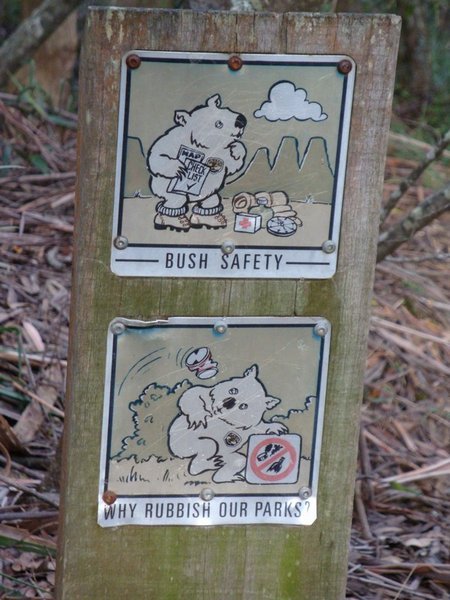 Careful Koala!