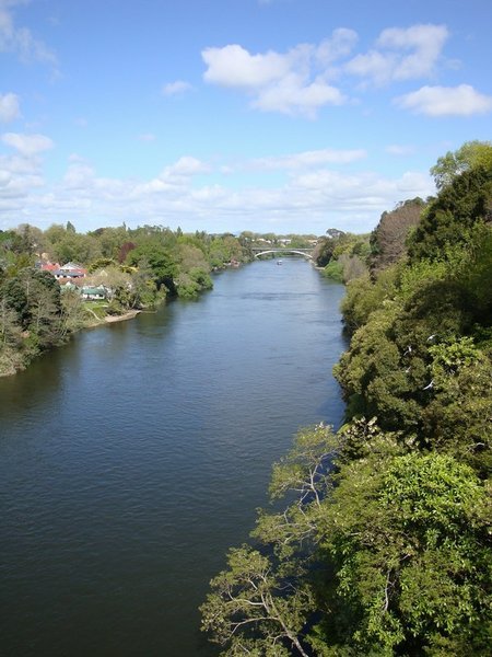 Bridge Over the River Waikato