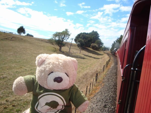 Rail Bear
