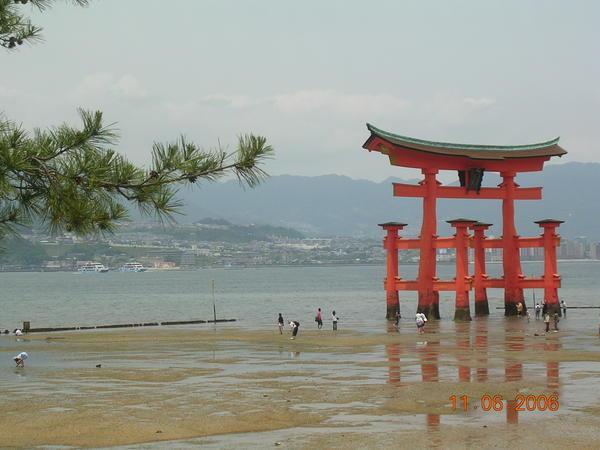 The great floating torii