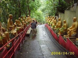Buddha avenue