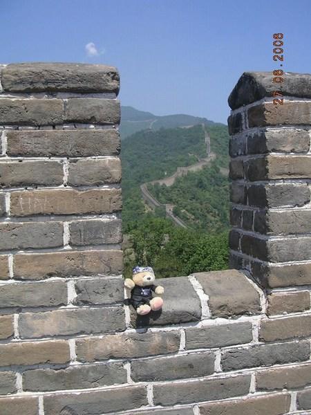 Great Bear on the Great Wall