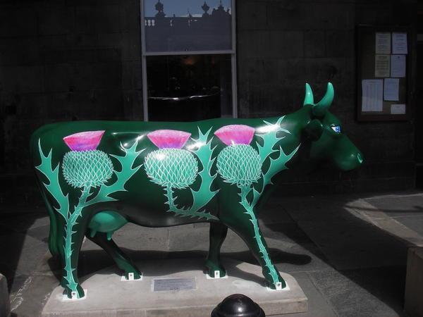 Prickly Cow