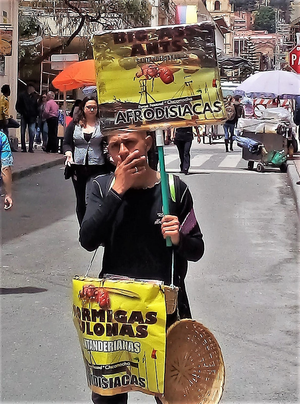 Big ass ants salesman, Bogota