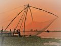 Kochi fishing net