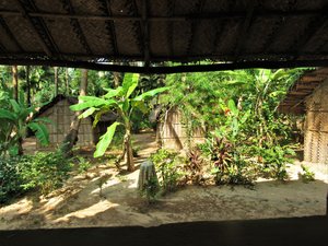 View from our Jungle Cafe hut