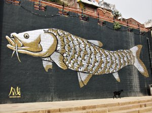 Golden Mahseer street art, Varanasi