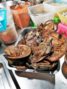 Horseshoe crabs, Trat market