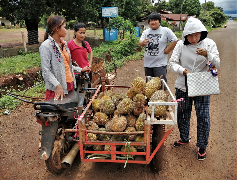 Selecting durian