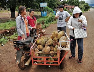 Selecting durian