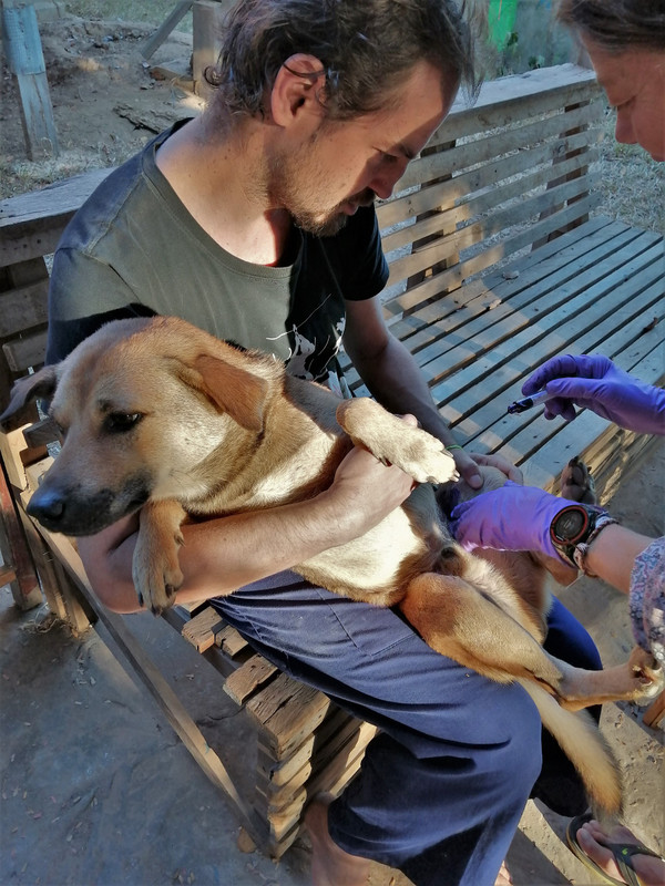 Ali switches from nurse to vet mode as she treats Daego's skin complaint,