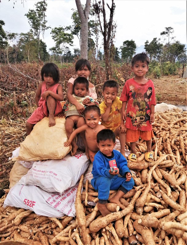 Gaggle of Katu children atop a pile of manioc with Kiew to the right