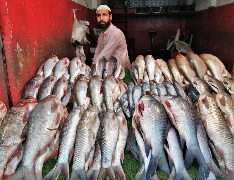 Peshawar fishmonger