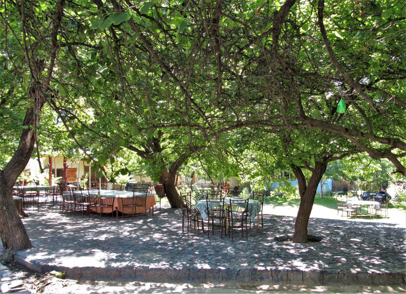Osho's outdoor dining area