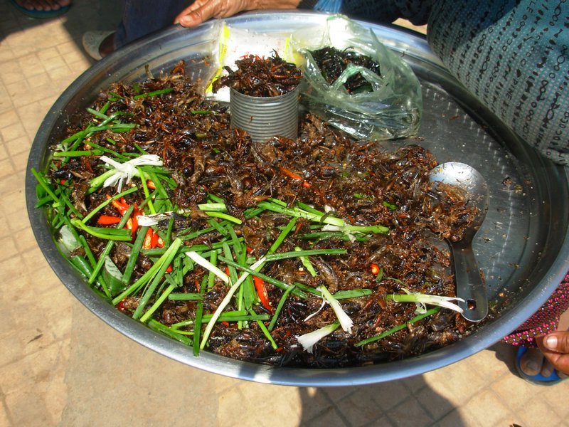 Insects for sale at roadside