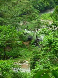 Jungle camp, Bukit Lawang