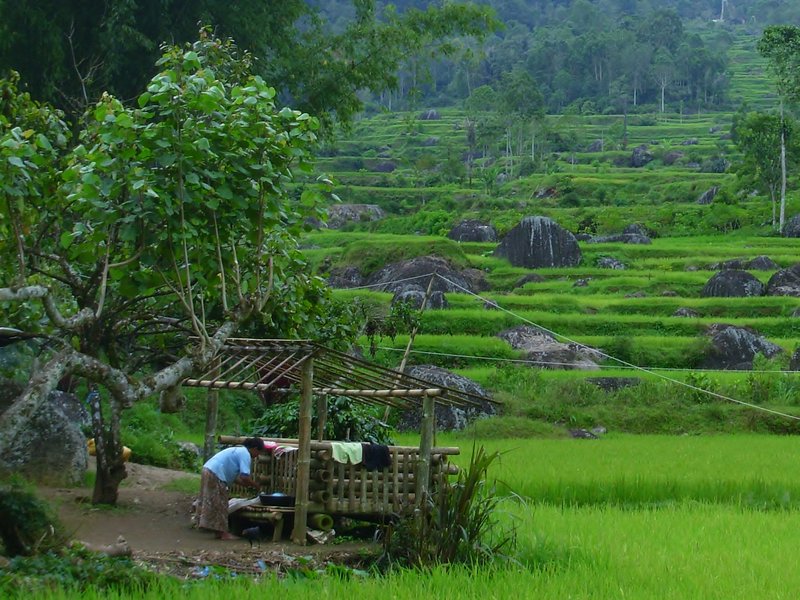 Toraja region, Sulawesi