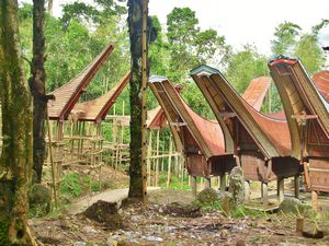 Erecting rice barns, Sulawesi