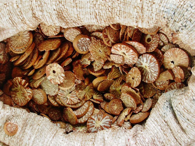 Bag of betal nuts