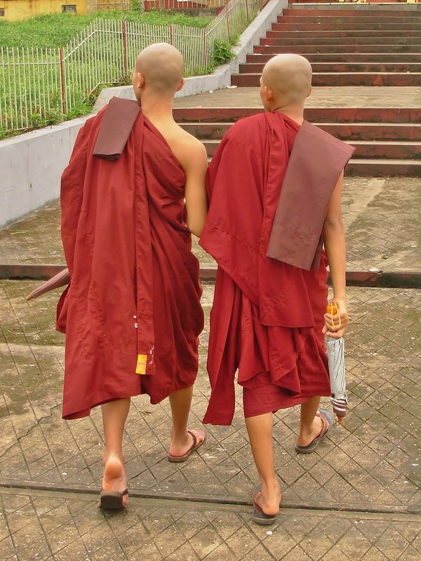 Brolly-bearing monks, Yangon